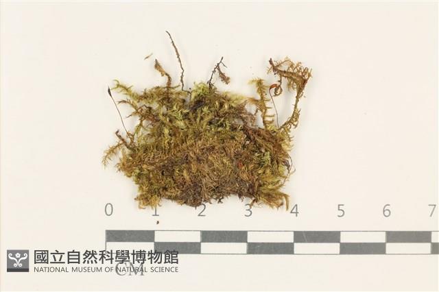 登錄號:B00021720藏品圖，第1張