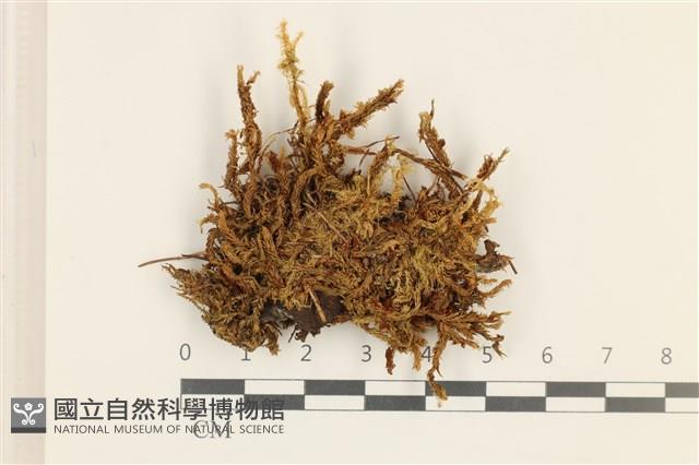 登錄號:B00013720藏品圖，第1張