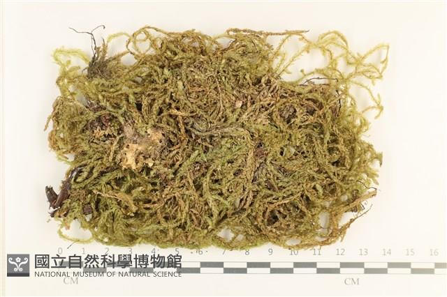 登錄號:B00011670藏品圖，第1張