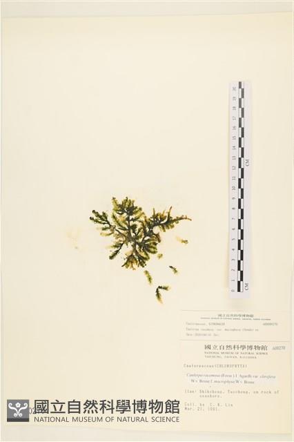 登錄號:A00000270藏品圖，第1張