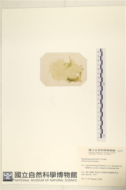 登錄號:A00005070藏品圖，第3張