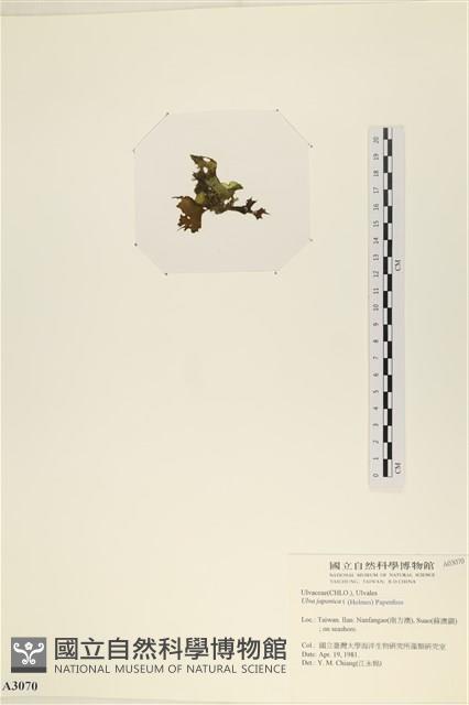 登錄號:A00003070藏品圖，第3張