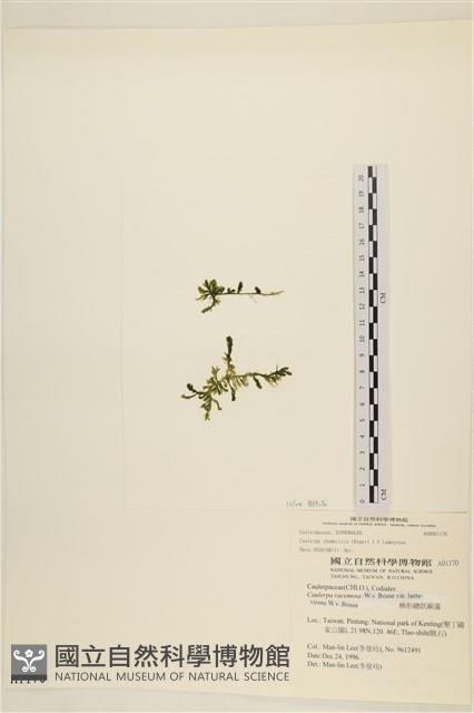 登錄號:A00001170藏品圖，第1張