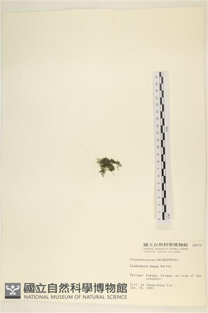 登錄號:A00000170藏品圖，第3張