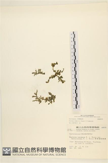 登錄號:A00000370藏品圖，第1張