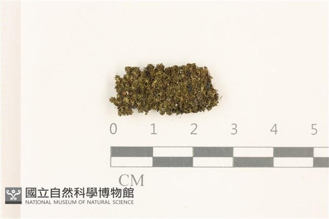 登錄號:B00014610藏品圖，第1張