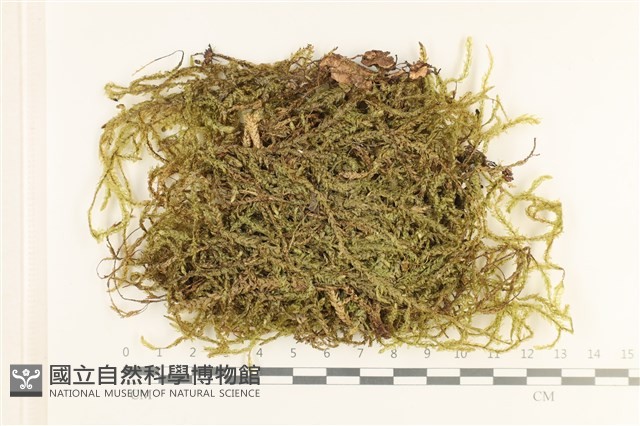 登錄號:B00011610藏品圖，第1張