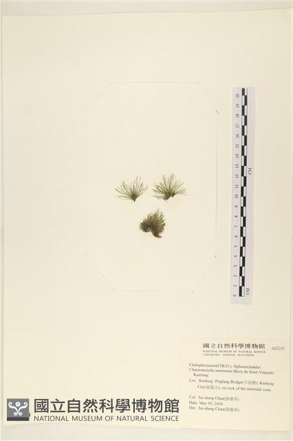 登錄號:A00005210藏品圖，第1張