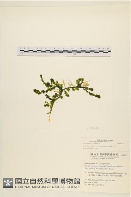 登錄號:A00001210藏品圖，第1張