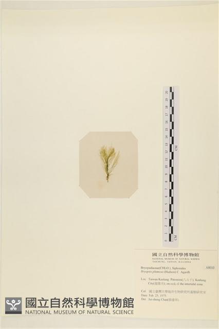 登錄號:A00008010藏品圖，第3張