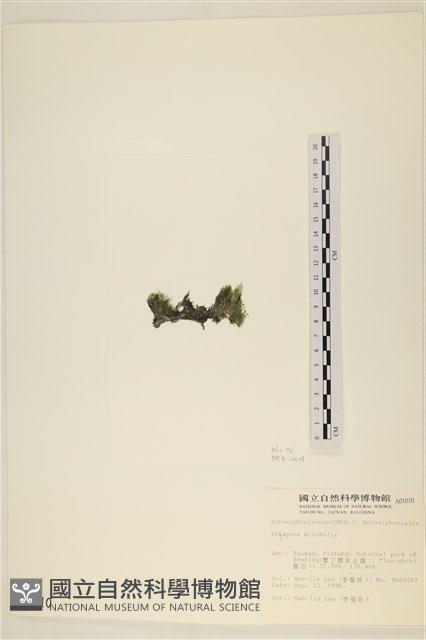 登錄號:A00001010藏品圖，第3張