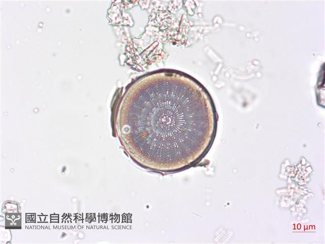 登錄號:A00004510藏品圖，第3張