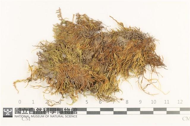 登錄號:B00012410藏品圖，第1張