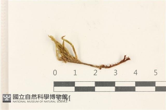 登錄號:B00017410藏品圖，第1張