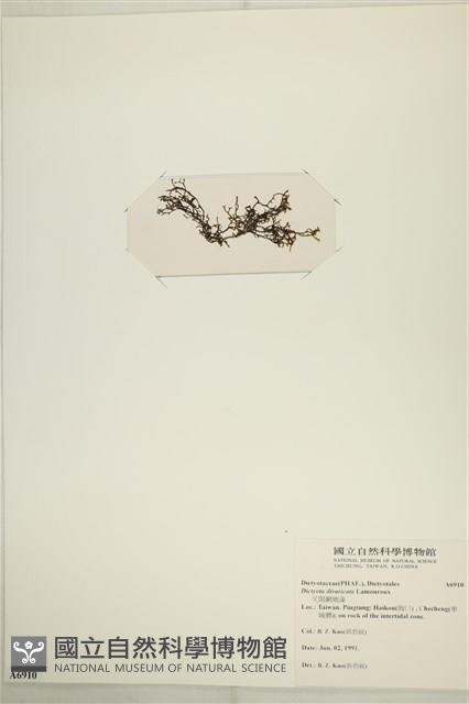 登錄號:A00006910藏品圖，第3張