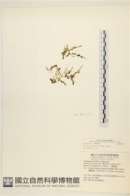 館號:A00007810藏品圖，第1張