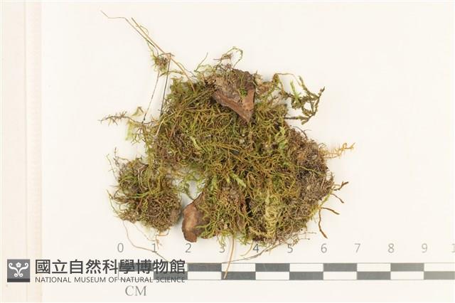 登錄號:B00017310藏品圖，第1張