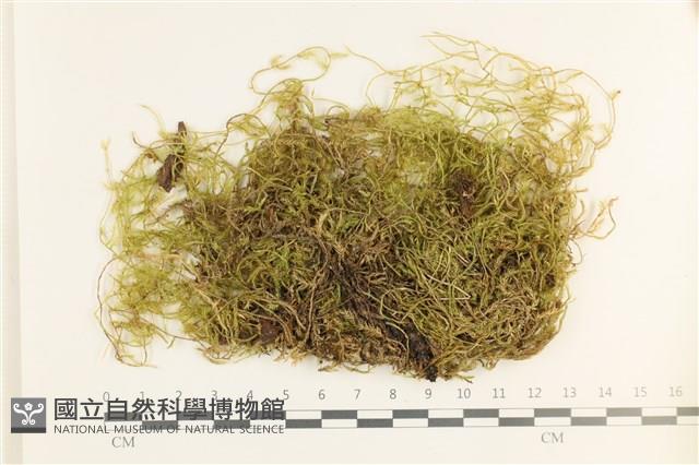 登錄號:B00017710藏品圖，第1張