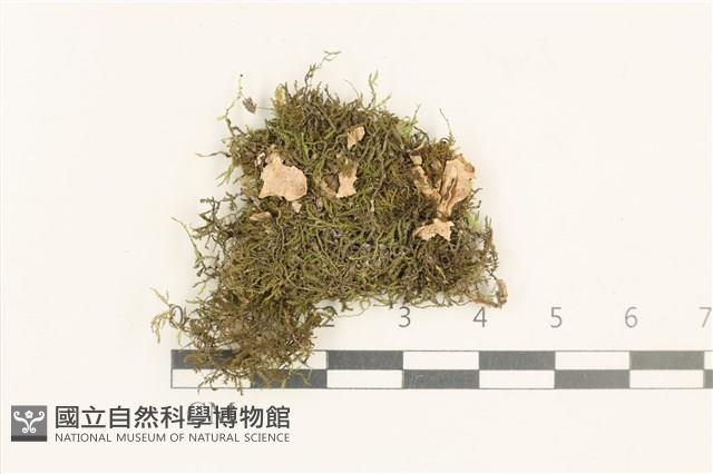 登錄號:B00021710藏品圖，第1張