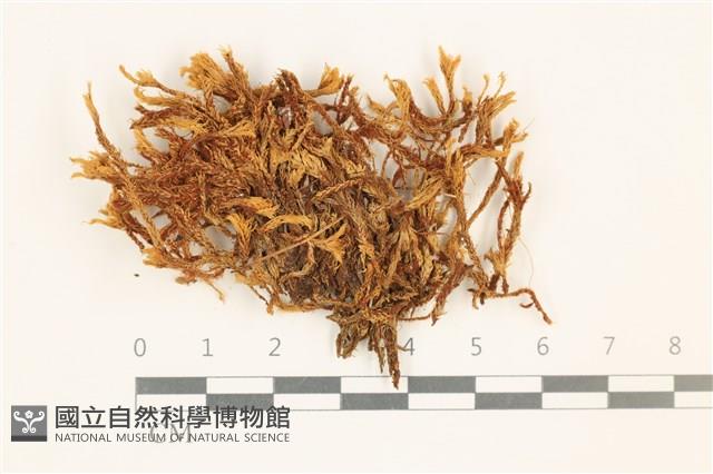 登錄號:B00013710藏品圖，第1張