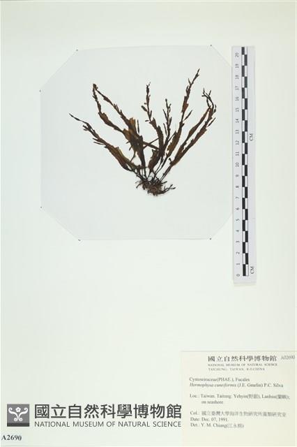 登錄號:A00002690藏品圖，第3張