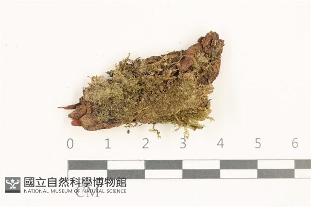 登錄號:B00019690藏品圖，第1張