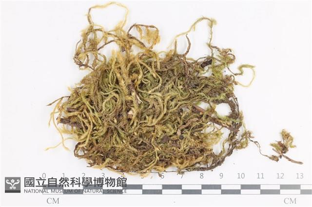 登錄號:B00000690藏品圖，第1張