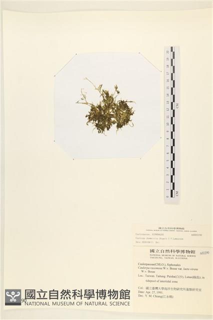 登錄號:A00002290藏品圖，第1張