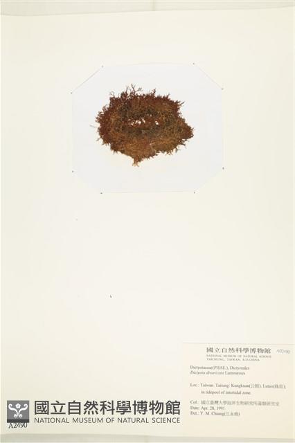登錄號:A00002490藏品圖，第3張