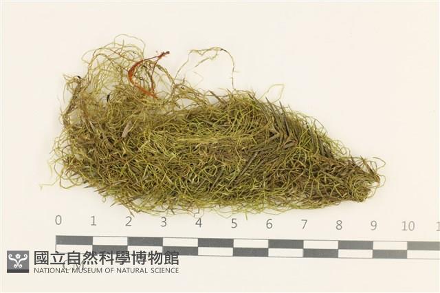 登錄號:B00009490藏品圖，第1張