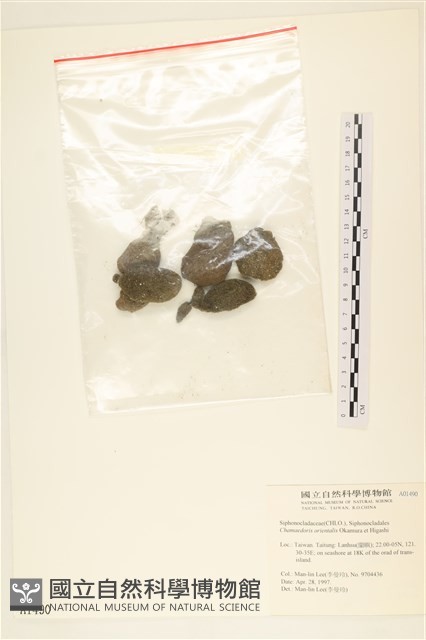 登錄號:A00001490藏品圖，第3張