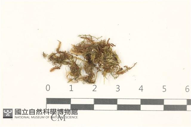 登錄號:B00019390藏品圖，第1張