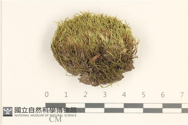 登錄號:B00016390藏品圖，第1張