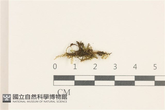 登錄號:B00014640藏品圖，第1張