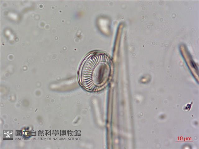 登錄號:A00004640藏品圖，第3張