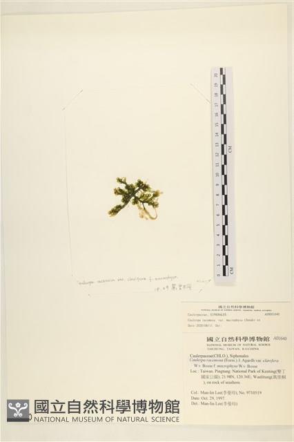 登錄號:A00001640藏品圖，第3張