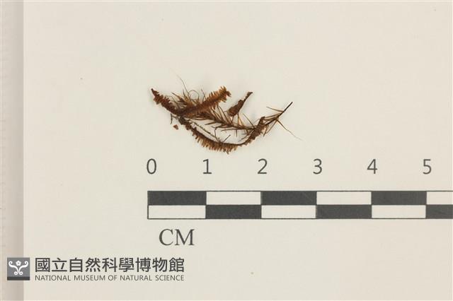 登錄號:B00003640藏品圖，第1張