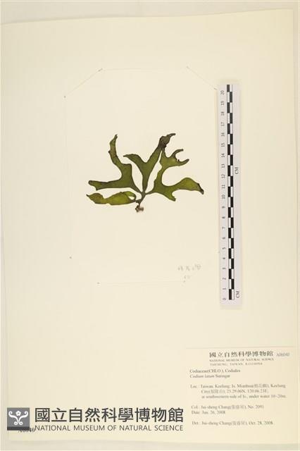 登錄號:A00006040藏品圖，第3張