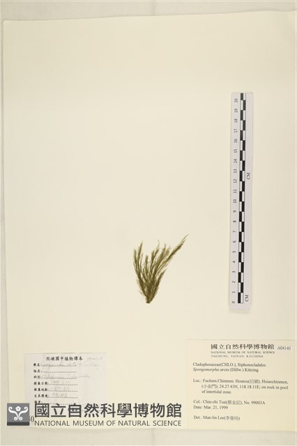 登錄號:A00004140藏品圖，第3張