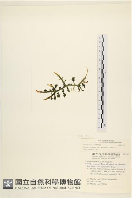登錄號:A00001140藏品圖，第3張