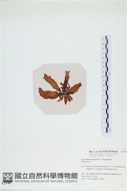 登錄號:A00002540藏品圖，第3張