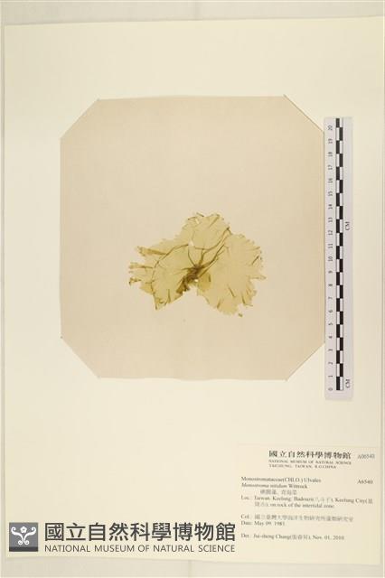 登錄號:A00006540藏品圖，第3張