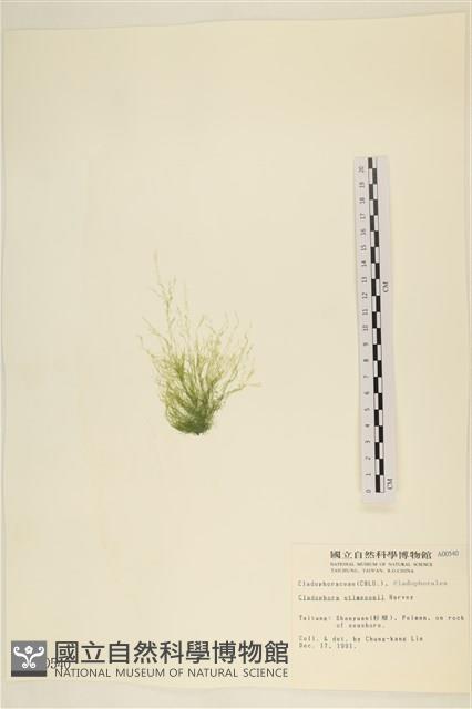 登錄號:A00000540藏品圖，第3張