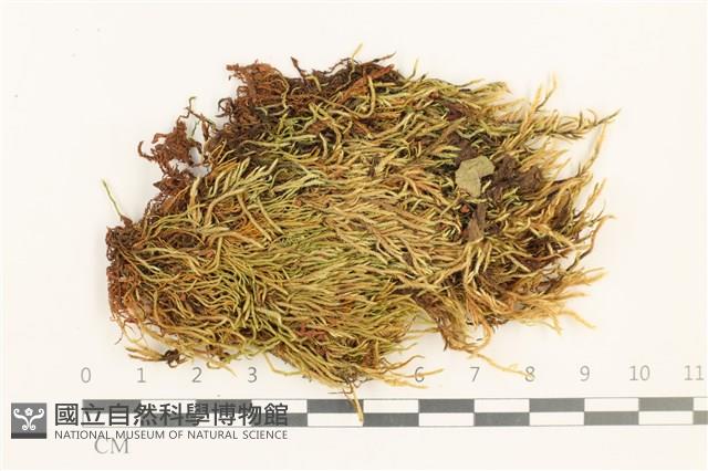 登錄號:B00012440藏品圖，第1張