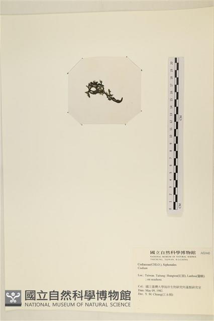 登錄號:A00002440藏品圖，第3張