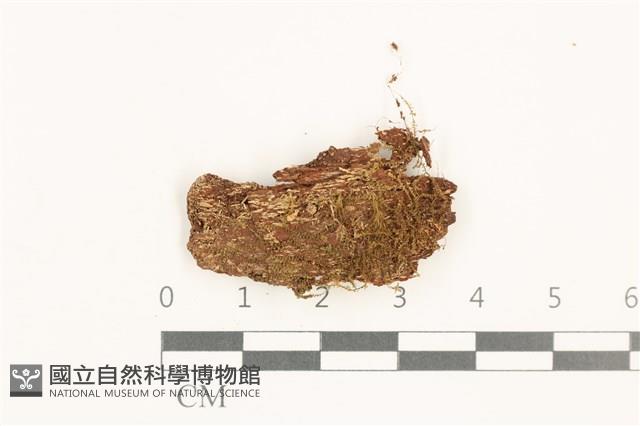 登錄號:B00019440藏品圖，第1張