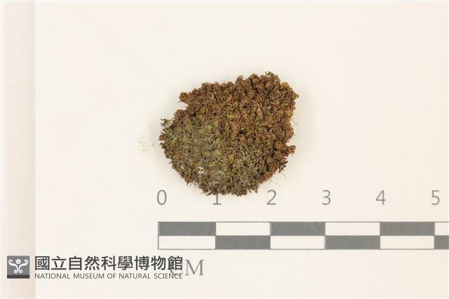 登錄號:B00014440藏品圖，第1張