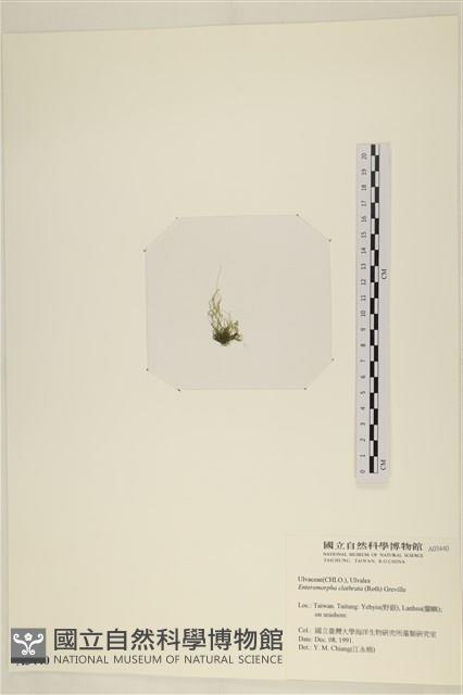 登錄號:A00003440藏品圖，第3張