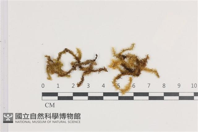 Accession Number:B00004740 Collection Image, Figure 1, Total 2 Figures