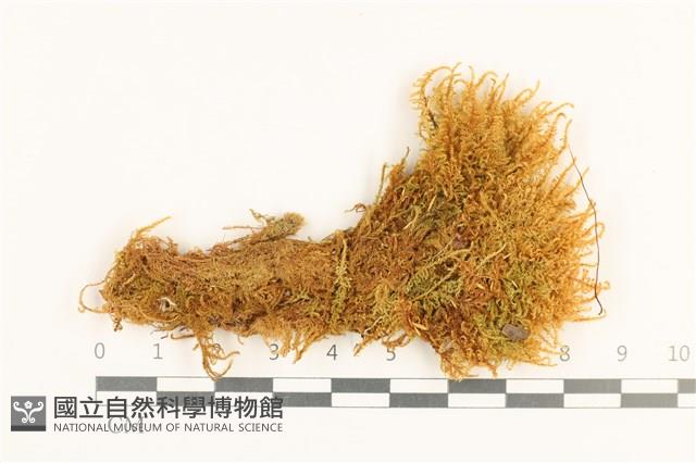 登錄號:B00001740藏品圖，第1張